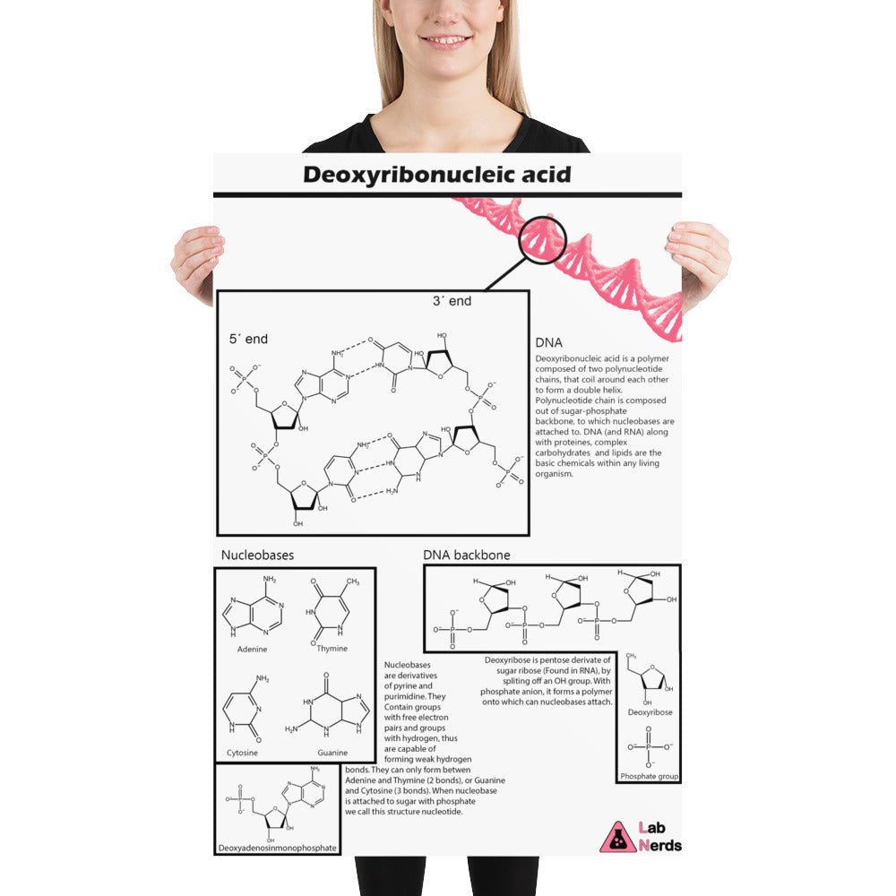 DNA Poster